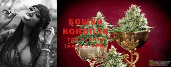 PSILOCYBIN Алзамай