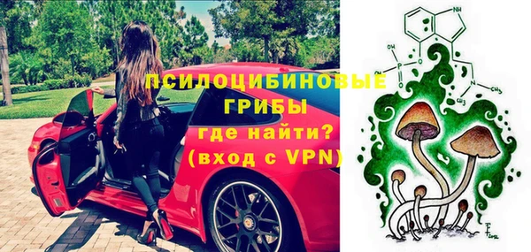соль ск Абаза