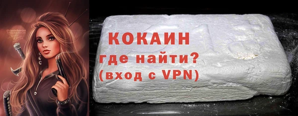 соль ск Абаза