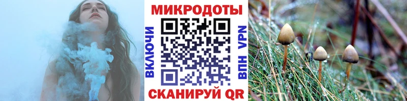 Галлюциногенные грибы Psilocybine cubensis  Котлас 