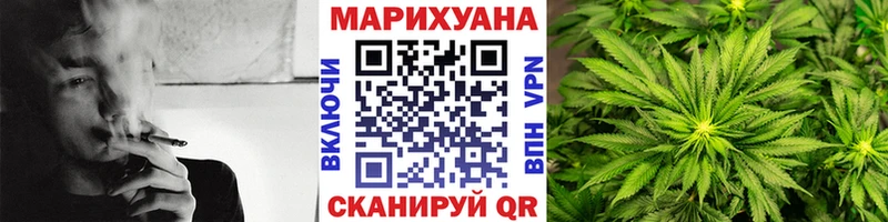Конопля гибрид  что такое   Котлас 